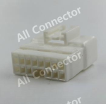 MG641113