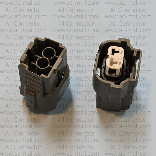 MG641152-4