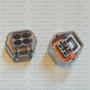 MG641238-5