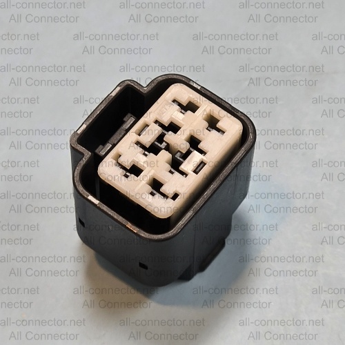 MG645725-5