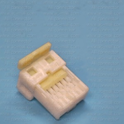 MG651439