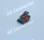 MG654844-4