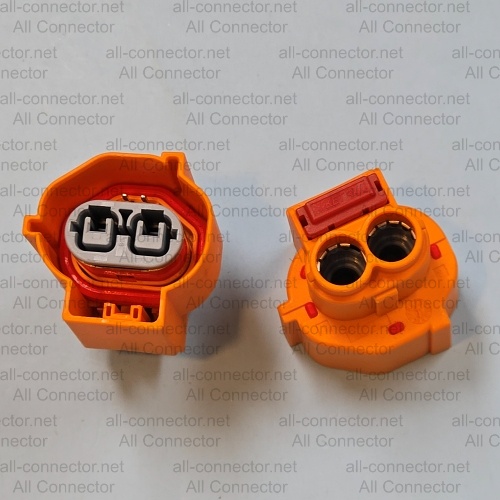 MG655809