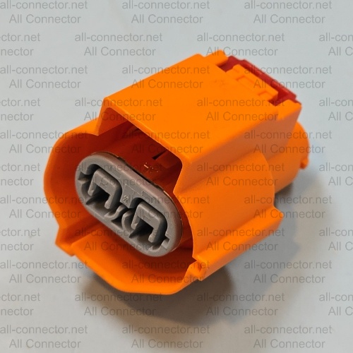 MG655809