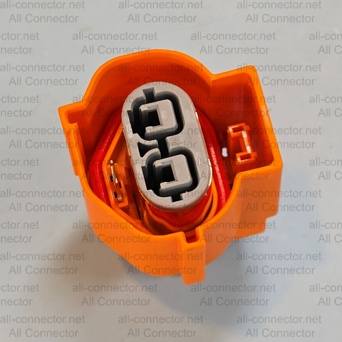 MG655809
