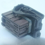 33500420