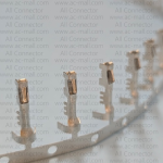 12048074