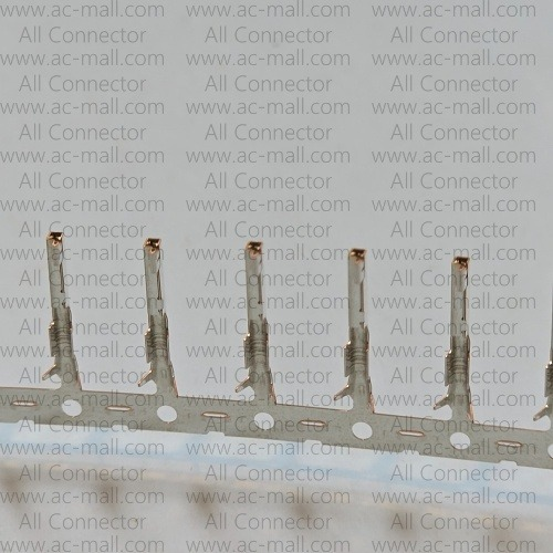 IPS-13065T-01A-T