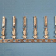 MT095-29880