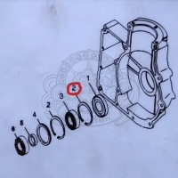 D/S BRG Circlip 110037