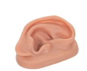 3B 인체모형 침술귀모형 오른쪽 N15/1R 침술실습 실리콘재질 경혈점 Acupuncture Ear right