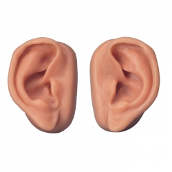 3B 인체모형 침술귀모형세트 N16 침술실습