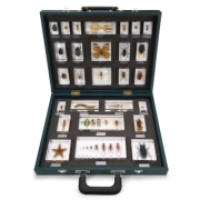 3B 인체모형 무척추동물 교구함 W59550 Teaching Case &ldquo;27 Invertebrates (Invertebrata)&rdquo;
