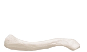 3B 인체모형 쇄골 A45/5 Human Clavicle Model
