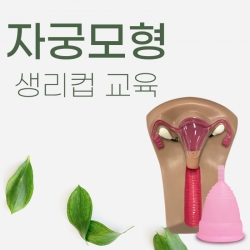자궁모형 생리컵SET IUD피임교육 생리컵교육 성교육 월경교육 생리컵사용방법