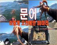 메인.jpg