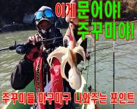 메인.jpg