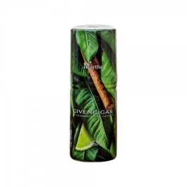 마샤 지방시가