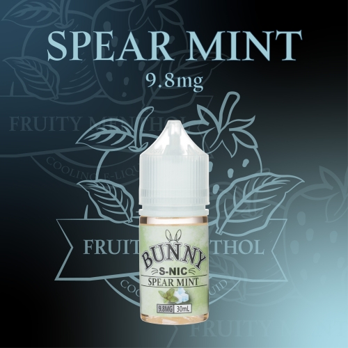 <버니 액상> 9.8MG 과일멘솔향