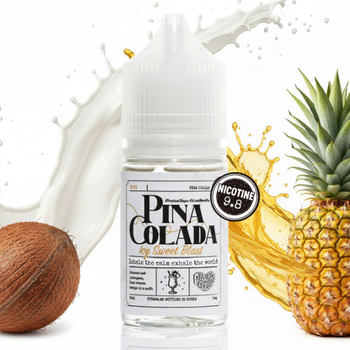 스팀랩 피나콜라다