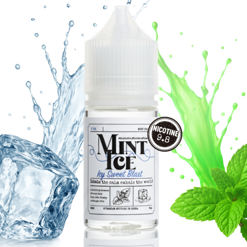 스팀랩 민트아이스