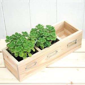 네임텍박스 10%SALE