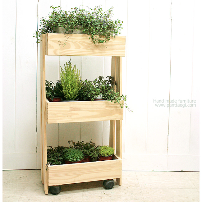 3단트레이 15%SALE