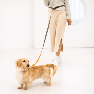 핸즈프리 리드줄