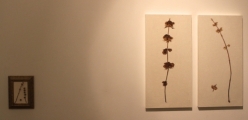 한석경_130416_혼합매체_가변설치_2013