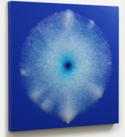 나진숙_The Silver Wave_blue coral2014-1_resin, acrylic on board_70x70x5(cm)_2014