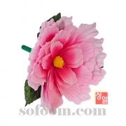 n2909 핑크톤 화관무꽃