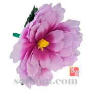 n351 보라톤 화관무꽃