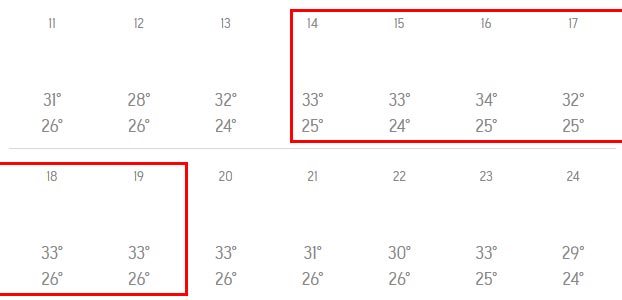 태국 푸켓마라톤대회 런닝코리아