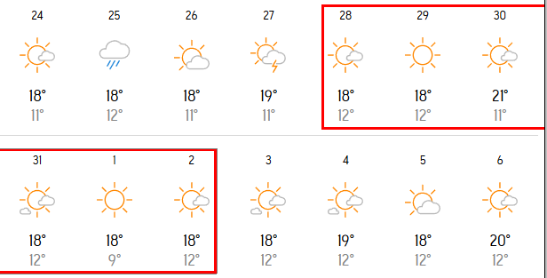 시드니마라톤 런닝코리아