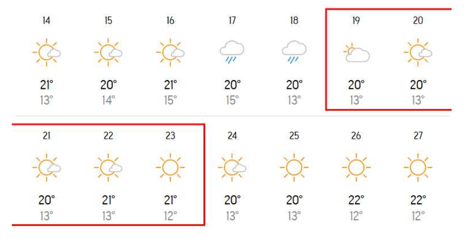 하이퐁마라톤대회 하이퐁마라톤대회