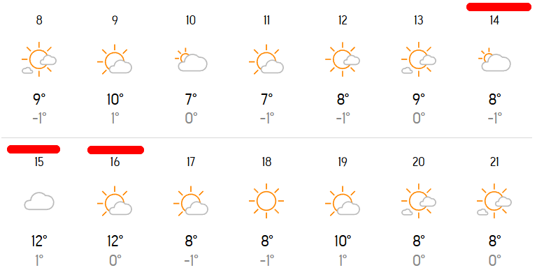 교토마라톤대회 날씨
