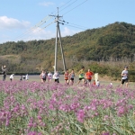 [2025.03.16] 돗토리마라톤 (4일)