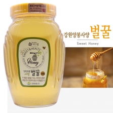 강원양봉사양벌꿀 A 2.4kg