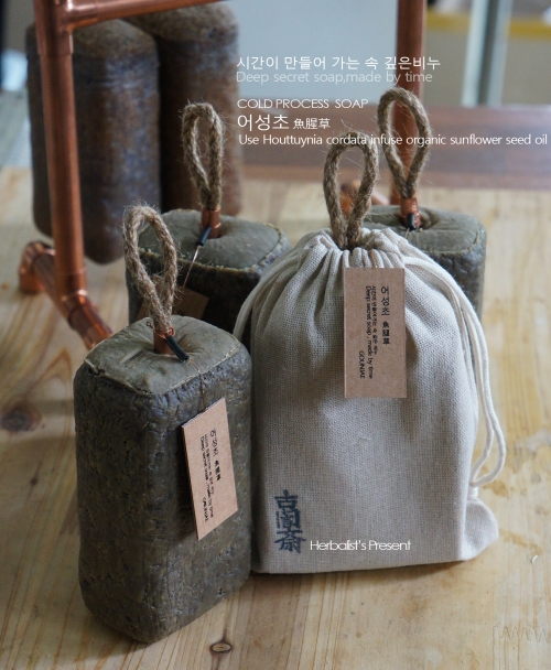 메주-어성초 메주-어성초