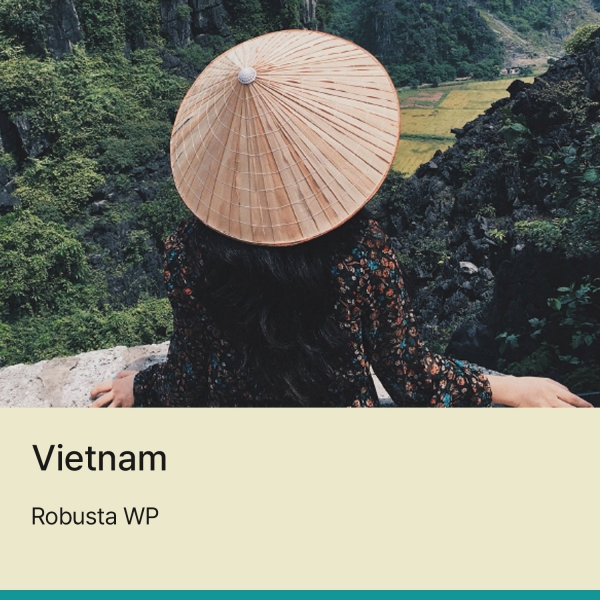 로부스타 WP