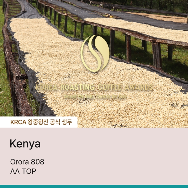 오로라 808 AA TOP