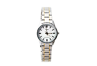 CASIO TWO TONE