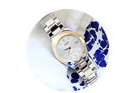 CASIO 2 TONE METAL