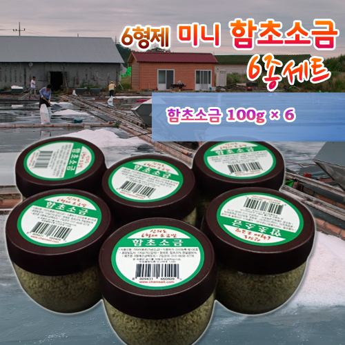 6형제 미니 함초소금 100g 6종세트