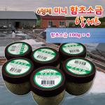 6형제 미니 함초소금 100g 6종세트