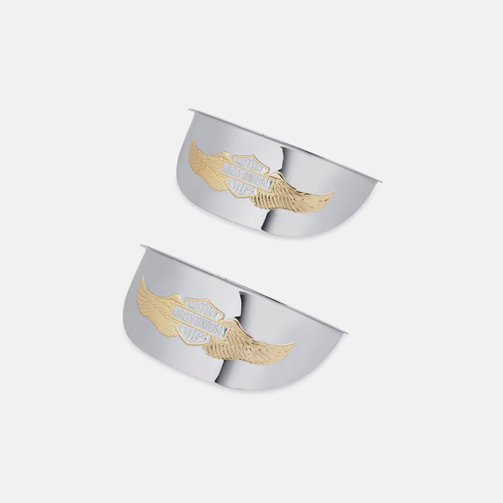 4인치 이글 윙 패싱 램프 바이저 - 크롬