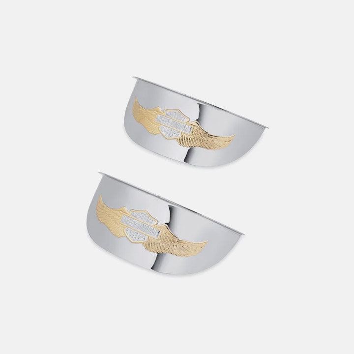4인치 이글 윙 패싱 램프 바이저 - 크롬