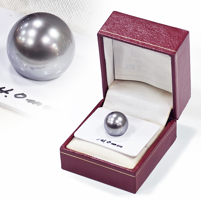 14mm 천연 흑진주