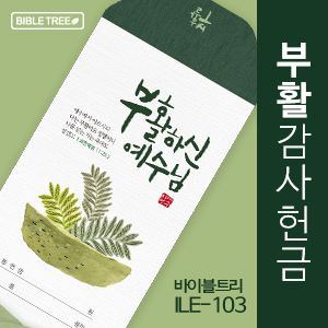 바이블트리 (ILE-103) 부활 감사 헌금봉투(10%할인)