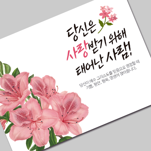 (10%할인)그레이스 엽서전도지_1-4 당신은 사랑받기 위해 태어난 사람